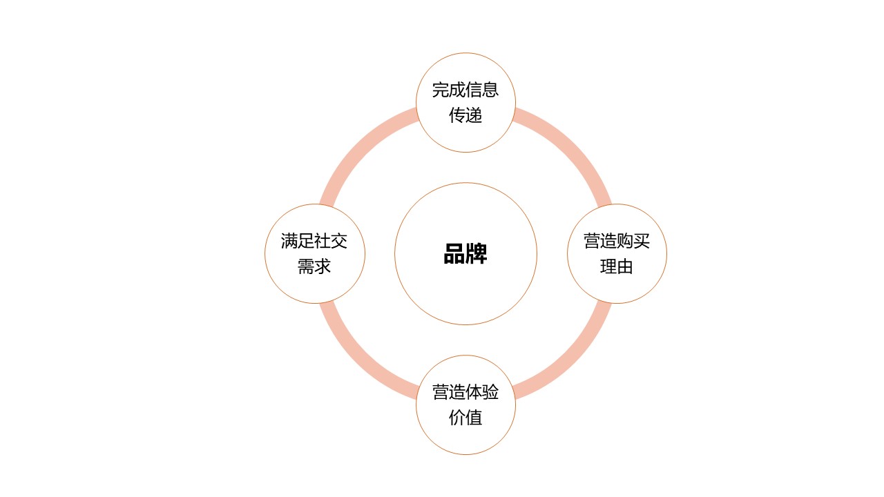 心智的錨點(diǎn) 品牌如何影響消費(fèi)者行為與品牌管理的藝術(shù)